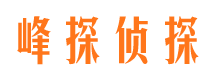 龙凤捉小三公司